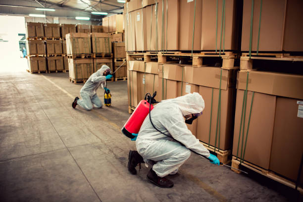 Best Termite Control Services  in East Norwich, NY