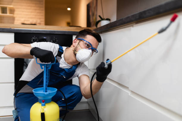 Best Pest Removal Services  in East Norwich, NY