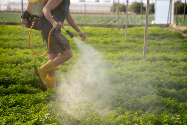 Pest Control for Restaurants in East Norwich, NY