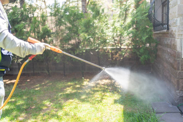 Reliable East Norwich, NY Pest Control Solutions