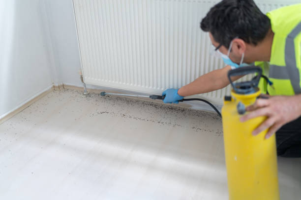 Best Best Pest Control Companies  in East Norwich, NY