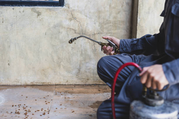 Best Local Pest Control Services  in East Norwich, NY
